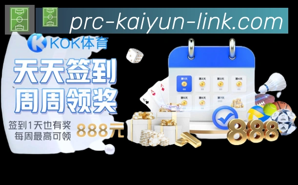 未来规划